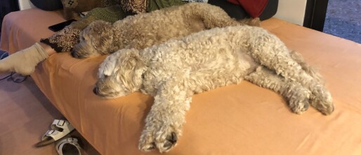 Watsonville, Corralitos, Santa Cruz