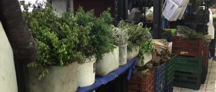 Onderweg naar Theleme Experience Grecia