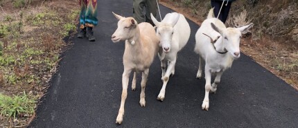 Thélème Community. Week 2