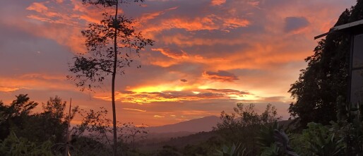 Thélème Community laatste week