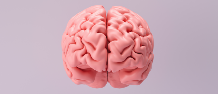 Je hoofd zegt nee. Je lijf zegt ja. En meestal wint je lijf.