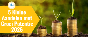 5 Kleine Aandelen met Sterke Fundamentals in 2026: Potentie en Risico (Kopen of Niet?)