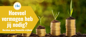 Financiële Vrijheid Calculator: Bereken je FIRE-Bedrag