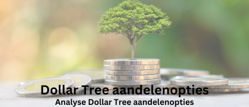Opties op Dollar Tree na scherpe daling aandelenkoers | Happy Investors