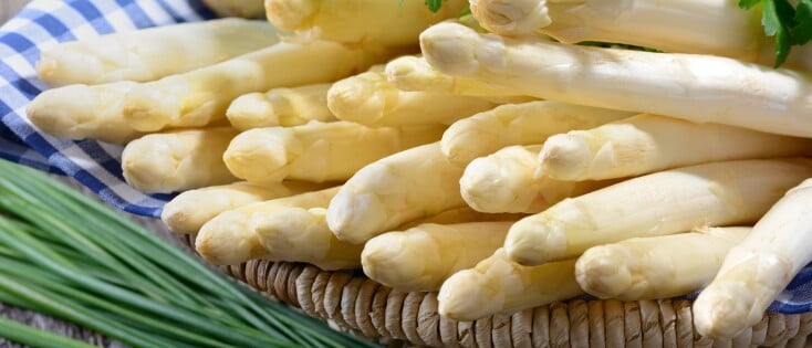 Koude aspergesoep
