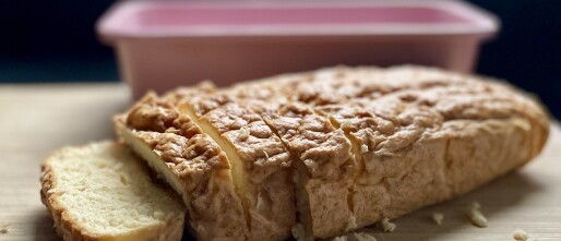 Carnivoor brood recept: heerlijk en snel proteïnebrood