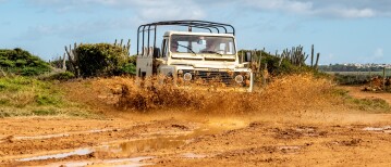Things to Do in Curaçao