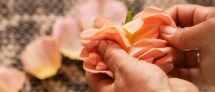 Psycholoog vs Soul Coach - Wat past bij jou?