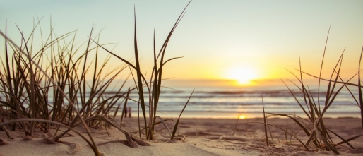 Beach Date: Where Love Meets the Horizon