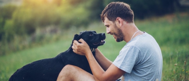 What Dogs Teach Us About Love: The Power of Unconditional Connection 🐾