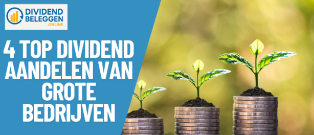 4 TOP Dividend Aandelen 2025: Stabiel Passief Inkomen uit Grote Internationale Bedrijven