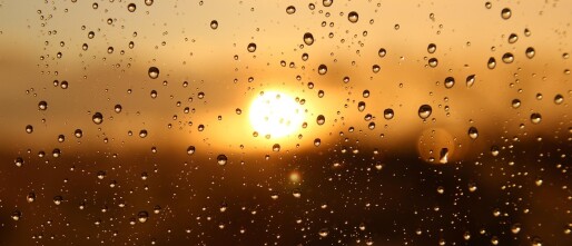 Ondernemen op jouw manier – reflecties voor ondernemers
