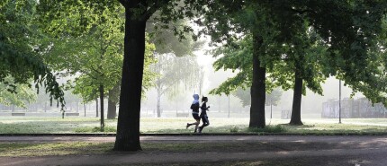 Blijf jij fit en scherp?