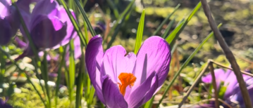 De deuren zijn open - poh, en dat voelt toch wel bijzonder!
