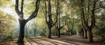 Melatonine en het syndroom van Tietze: waarom jouw nacht meer doet dan je denkt