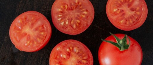 Blauwe bessen: een kleurrijke toevoeging aan je salade