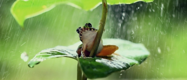 Stilte als Gids: Vertrouwen, Intuïtie en Loslaten in TaoMind