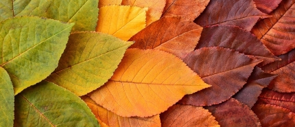 Stop met Streven – Terug naar Eenvoud en Innerlijke Rust