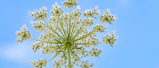 Ben jij jezelf kwijtgeraakt? Keer Terug naar Innerlijke Rust en Zelfverbinding