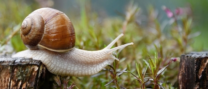 Leven zonder oordeel: gelijkmoedigheid en intuïtie als innerlijke kracht