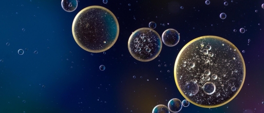 Uit balans en snel overprikkeld? Vind innerlijke rust en intuïtie door te gronden