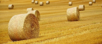 Waarom je jezelf kwijt raakt en hoe innerlijke rust en zelfleiderschap terugkomen