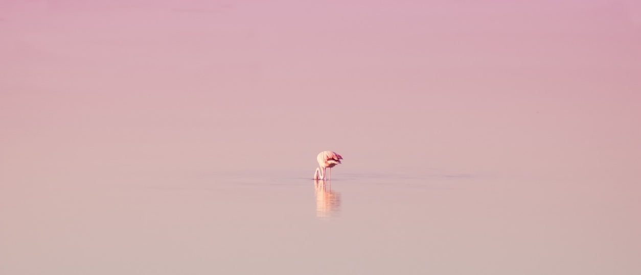 Waarom balans geen doel is maar een manier van leven...