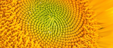 Waarom zelfrespect en authenticiteit de sleutel zijn tot innerlijke rust