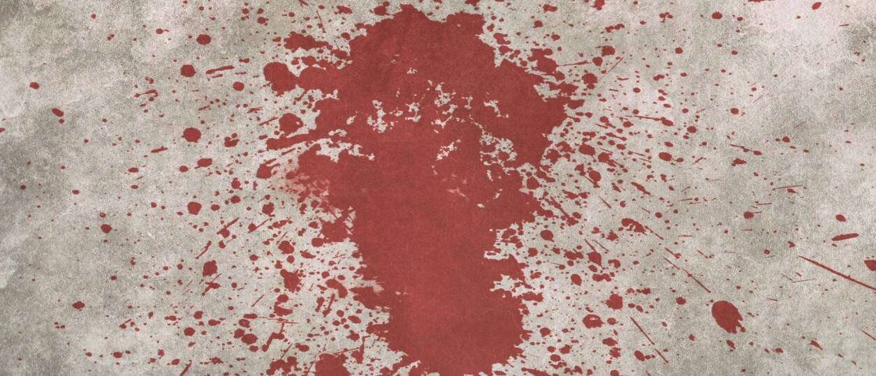 Droom Je Vrij - Helder Dromen