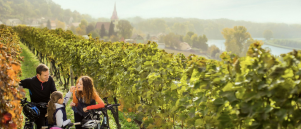 Tschechiens Herbst erleben: Wandern, Wein & regionale Spezialitäten