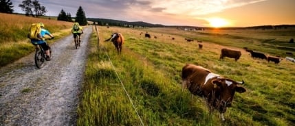 Reisetrends Tschechien 2026: Ruhe, verborgene Perlen und nachhaltige Ferien