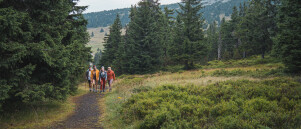 10x schöne Ferienhäuser in Tschechien entlang Rad- und Wanderwege