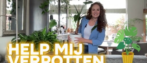 Mijn boek, mijn verhaal, mijn missie: Dansen tussen Vuur & Water (en hoe jij kunt helpen)