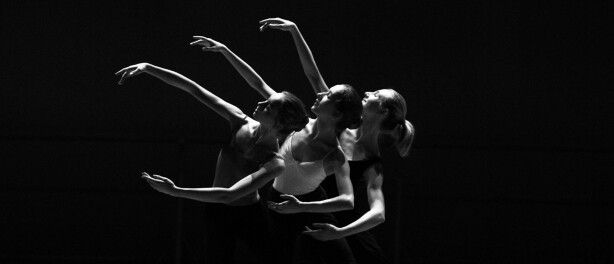 Persoonlijk merk of dansstudio brand? Ontdek wat bij jou past