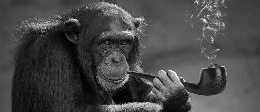 Wat rokers kunnen leren van dieren
