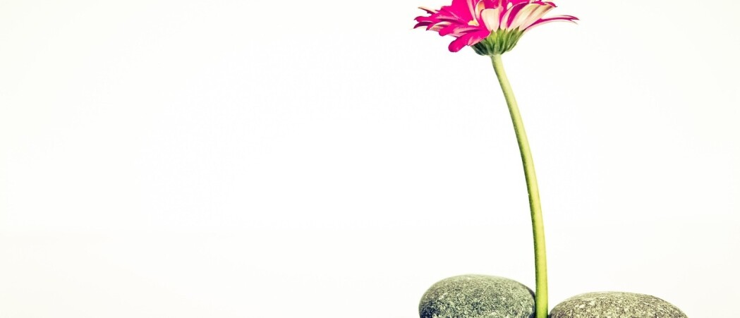 Je vrij voelen in je lijf: hoe innerlijke rust leidt tot blijvend gewichtsverlies