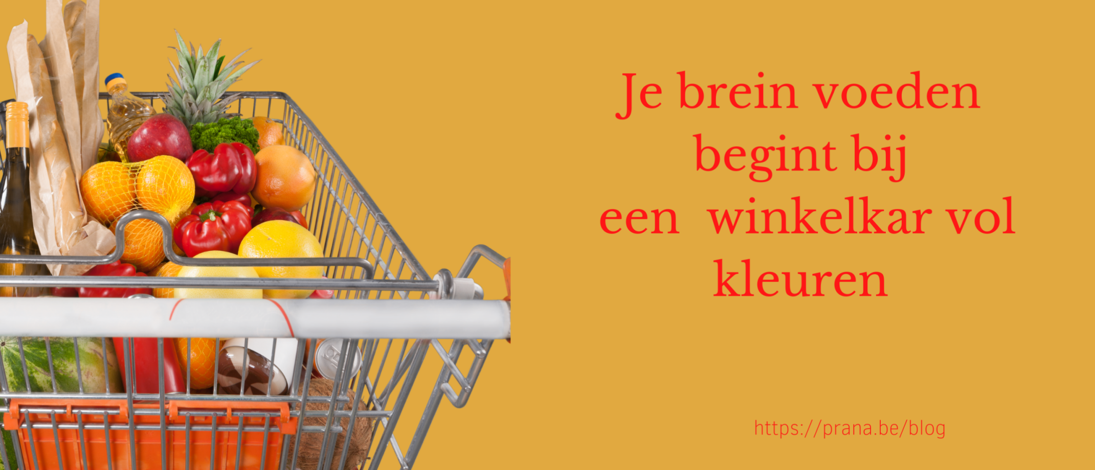 Voeding voor je brein