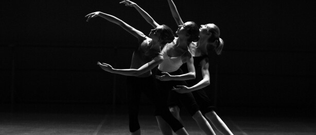 Examples of Successful Dance Influencer Brands (And What You Can Learn From Them)