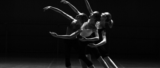 Personal Brand vs Dance Studio Brand: Which One Should You Build?