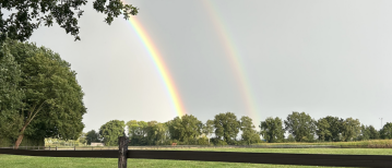 Ik voelde me zo schuldig