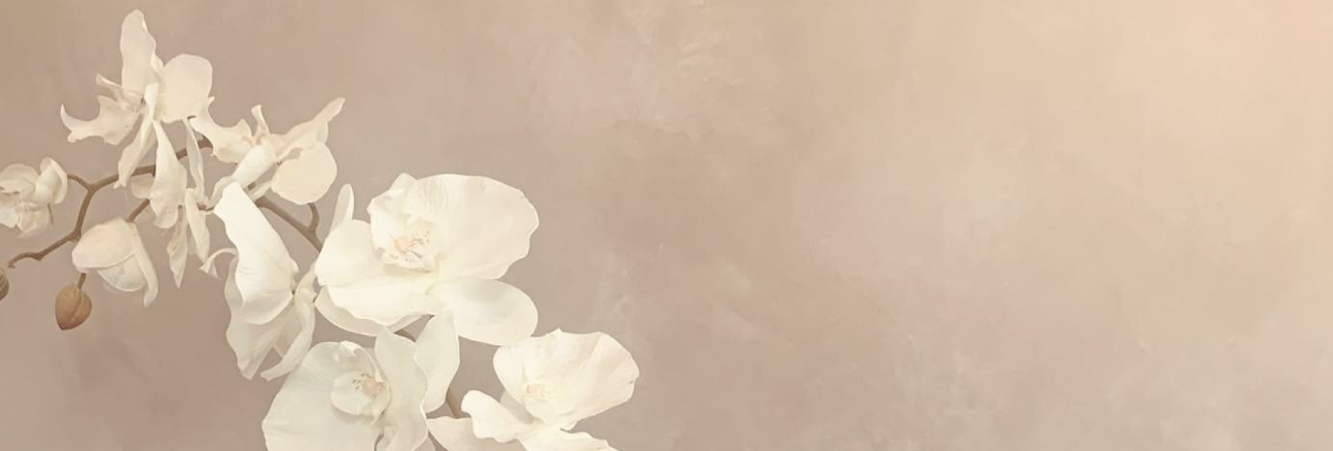 Award 1BeautyAfspraak.nl Award 1BeautyAfspraak.nl