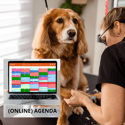online-agenda-trisalon