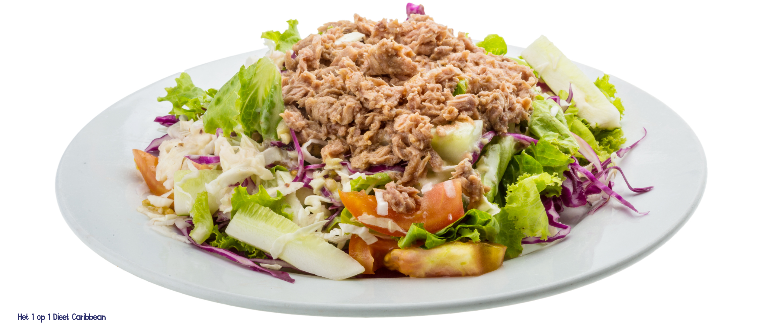 onijnsalade Recept met Appel en Augurk – Stap 3 van Het 1 op 1 Dieet