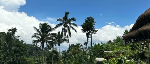 Deadline op Bali: Je Airbnb-listing in gevaar zonder NIB? Alles wat je moet weten