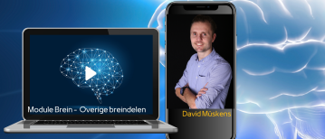 Wat doen je grote hersenen, cerebellum, hersenschors en prefrontale cortex?