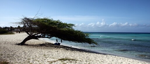 Makkelijk scheiden op Aruba: scheiden in Nederland als optie