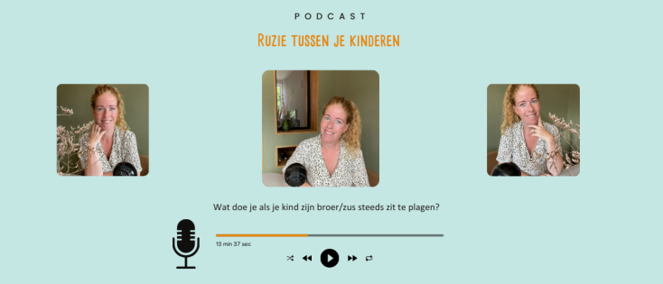 Ruzie tussen je kinderen - Wat doe je als je kind zijn broer/zus voortdurend plaagt?