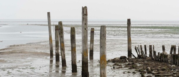 Geheimen van Texel door Texelaars