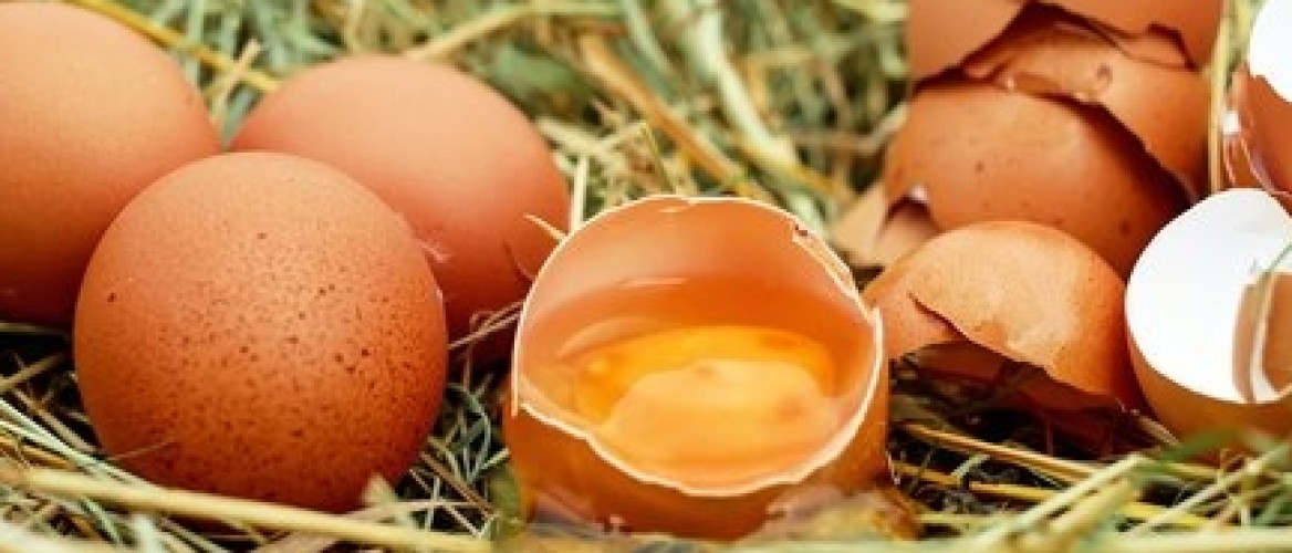 ONTHULLING: Eieren zijn hartstikke gezond!