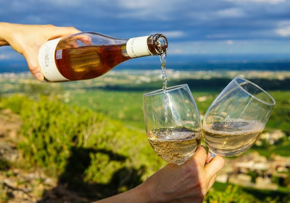 Wijnproeven – Alles wat je moet weten over de wijnen uit Frankrijk!